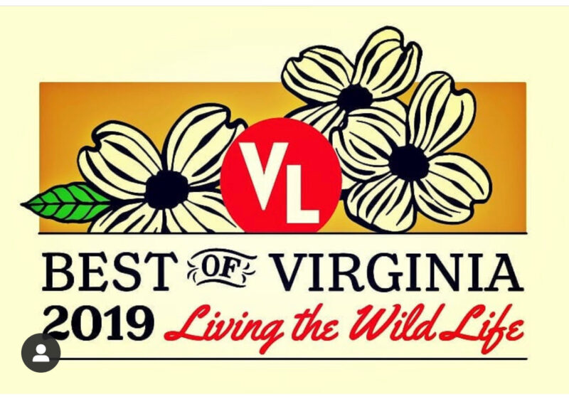 Honeybees Florist Staunton's Favorite Floral Shop